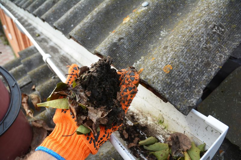Clogged Gutter Debris